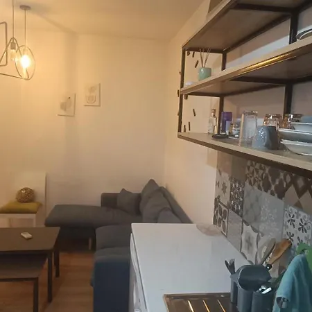 Lovely 1 Bedroom Near Eye Of 公寓 地拉那